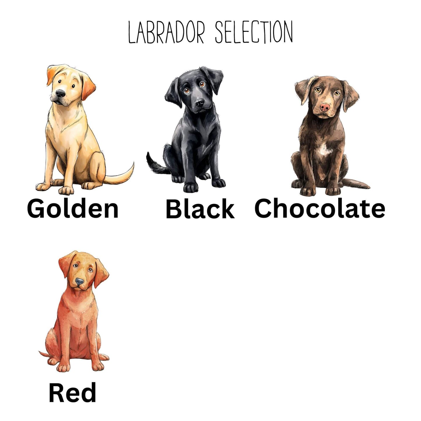 Illustrated Personalised Labrador Definition Print