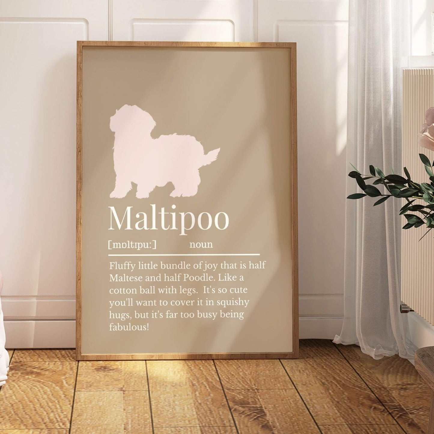 Coloured Maltipoo Definition Print