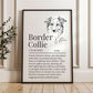 Personalised Border Collie Definition Print