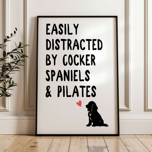 Easily Distracted By Cocker Spaniels and Pilates