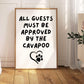 All Guests Must Be Approved by The Cavapoo