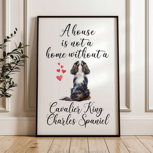 A House is Not a Home Without a Cavalier King Charles Spaniel