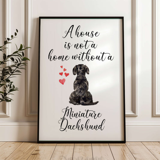 A House is Not a Home Without a Miniature Dachshund