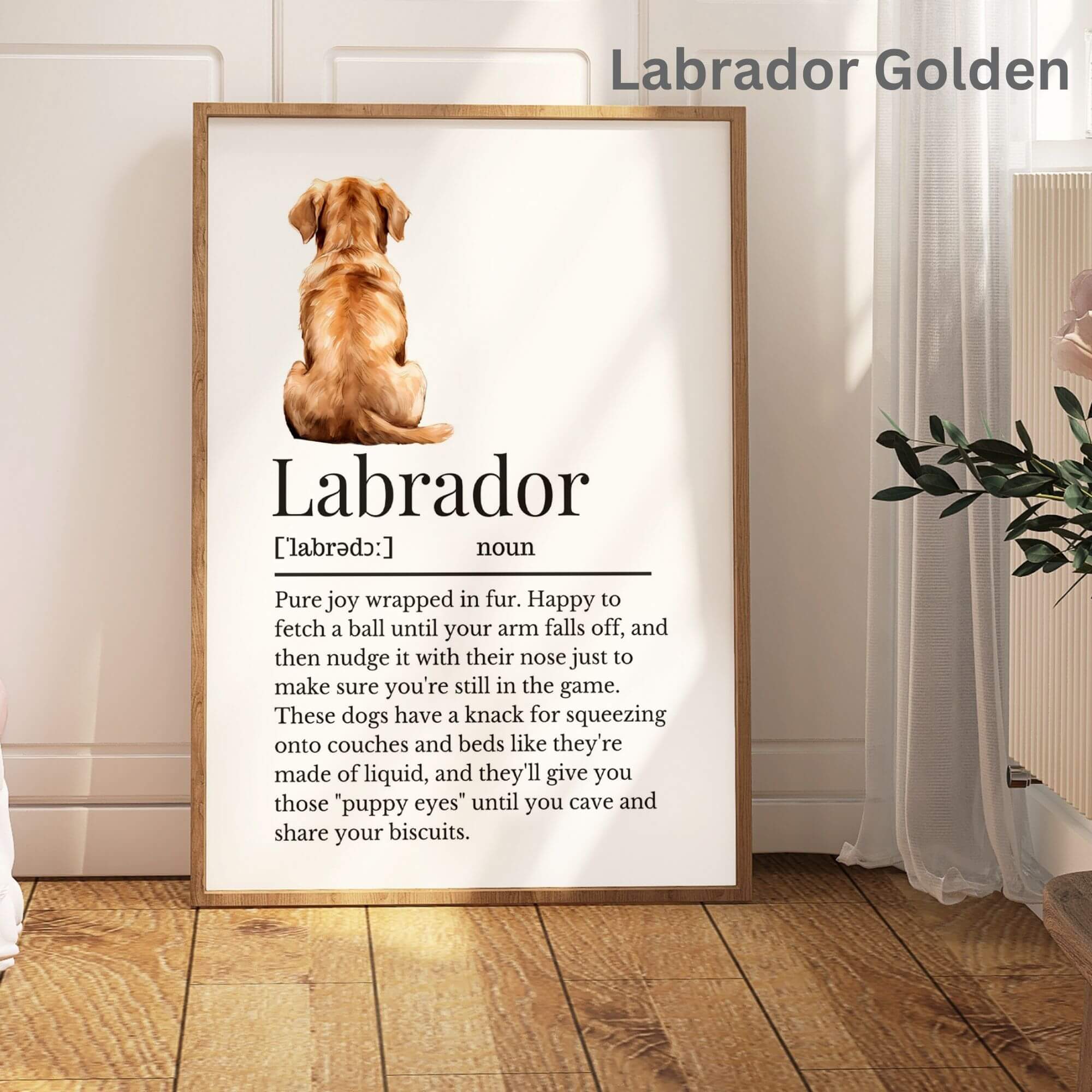 Labrador Defo Illustrated Labrador Definition Print – Definitive Prints