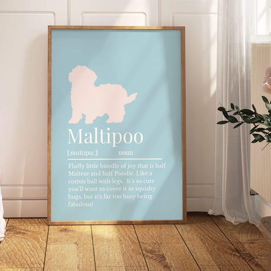 Coloured Maltipoo Definition Print